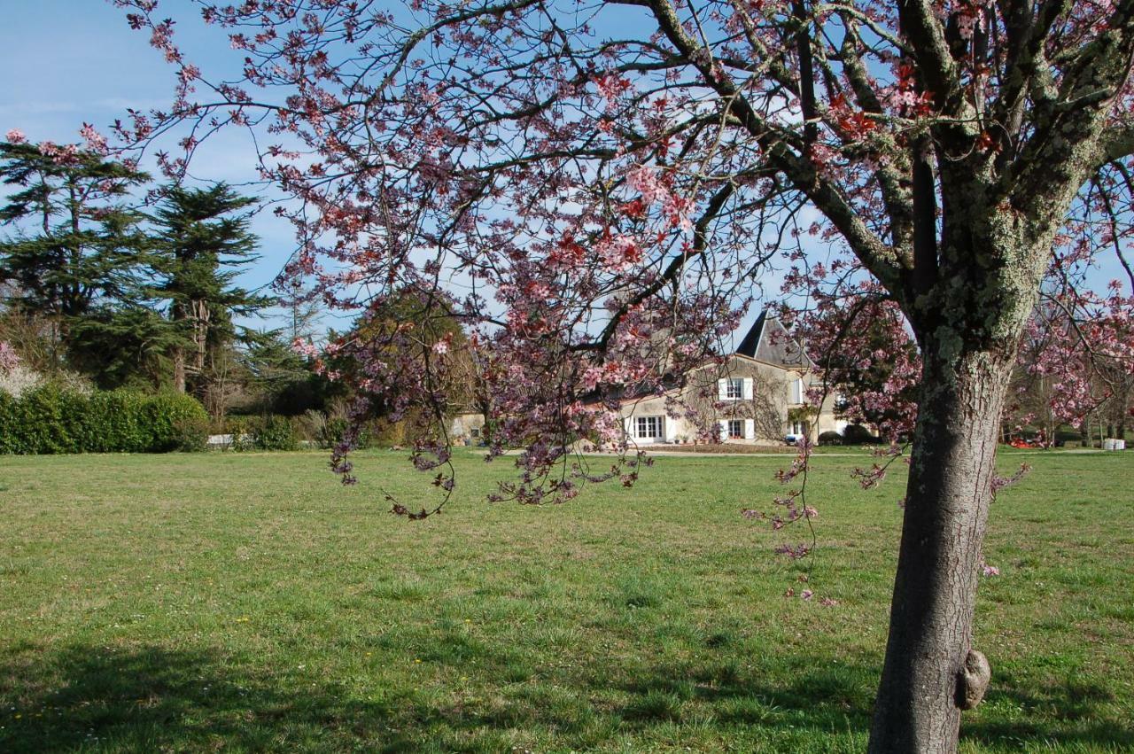 Chateau Ysard Camblanes-et-Meynac Экстерьер фото